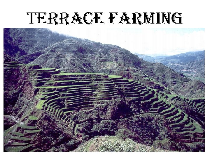 Terrace Farming 