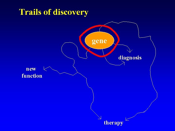 Trails of discovery gene diagnosis new function therapy 