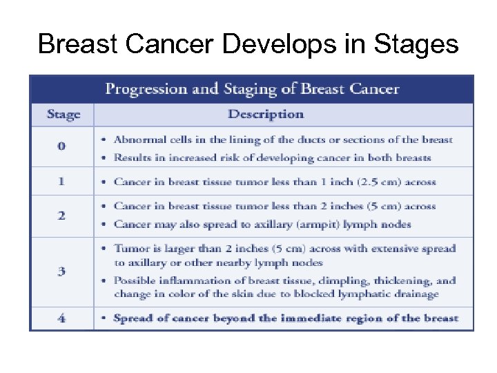 Breast Cancer Develops in Stages 