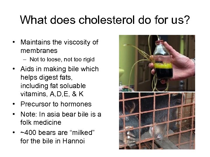 What does cholesterol do for us? • Maintains the viscosity of membranes – Not