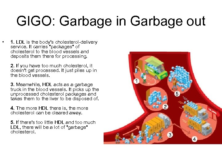 GIGO: Garbage in Garbage out • 1. LDL is the body's cholesterol-delivery service. It