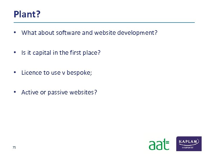 Plant? • What about software and website development? • Is it capital in the