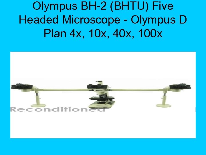 Olympus BH 2 (BHTU) Five Headed Microscope Olympus D Plan 4 x, 10 x,