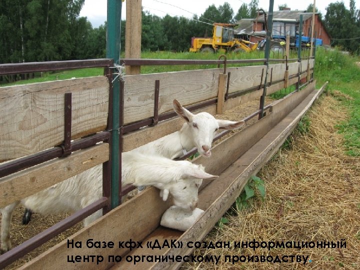 На базе кфх «ДАК» создан информационный центр по органическому производству. 