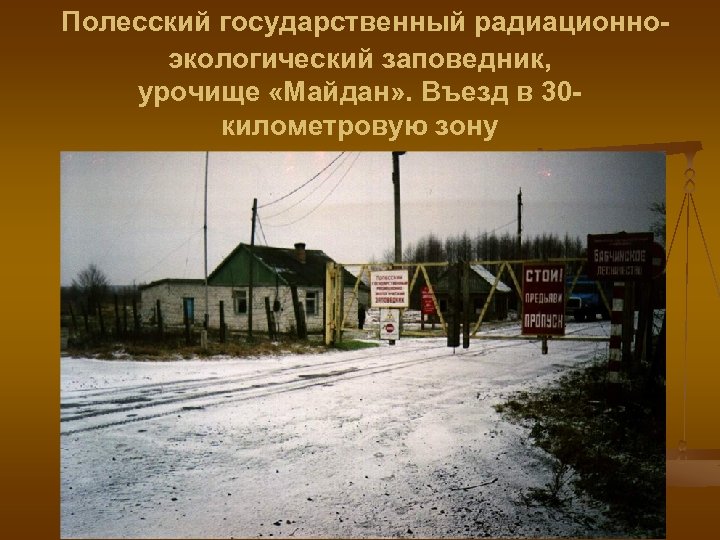 Полесский государственный радиационноэкологический заповедник, урочище «Майдан» . Въезд в 30 километровую зону 