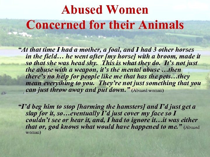 Abused Women Concerned for their Animals “At that time I had a mother, a