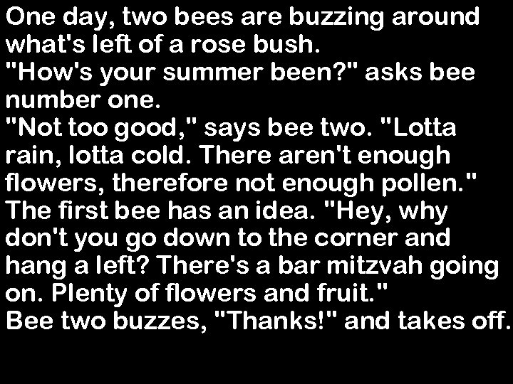 One day, two bees are buzzing around what's left of a rose bush. 