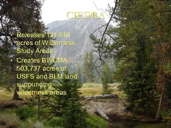 CIEDRA • Releases 131, 616 acres of Wilderness Study Areas • Creates BWCMA 503,