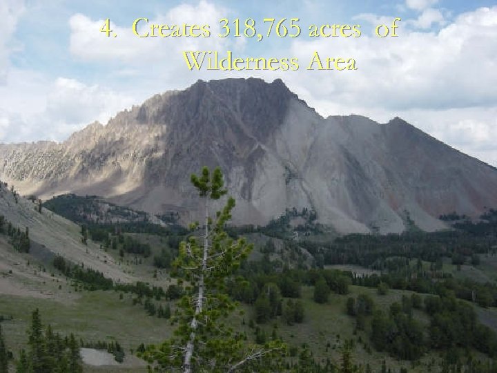 4. Creates 318, 765 acres of Wilderness Area 