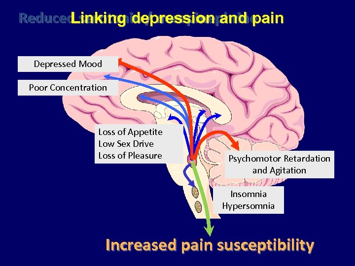 Reduced serotonin / norepinephrine Linking depression and pain Depressed Mood Poor Concentration Loss of