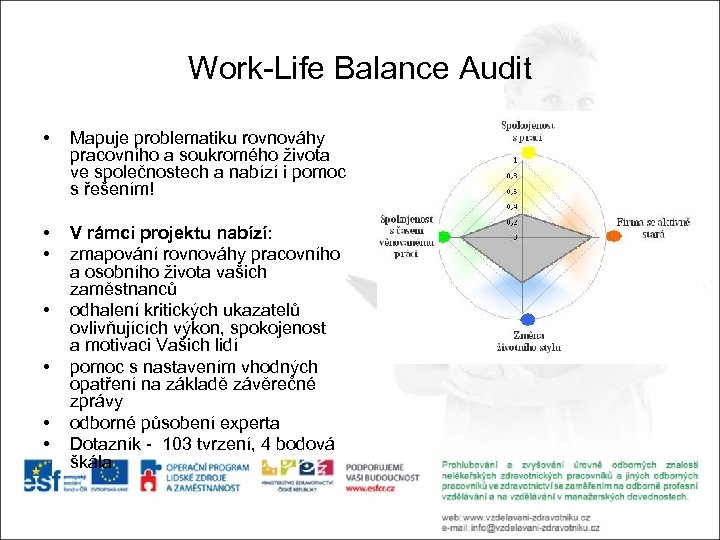 Work-Life Balance Audit • Mapuje problematiku rovnováhy pracovního a soukromého života ve společnostech a