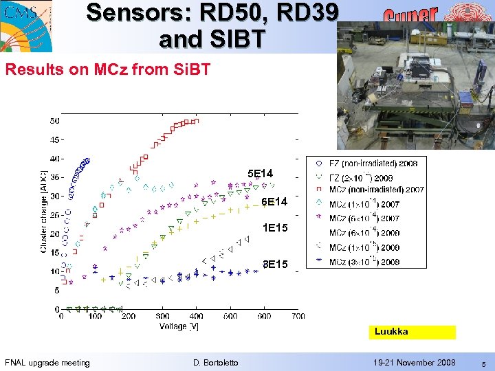 Sensors: RD 50, RD 39 and SIBT Results on MCz from Si. BT 5
