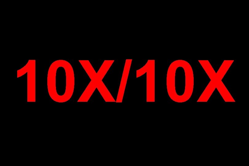 10 X/10 X 