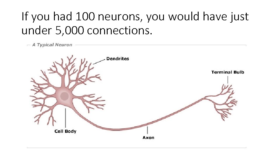 If you had 100 neurons, you would have just under 5, 000 connections. 