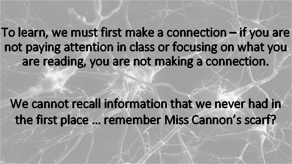 To learn, we must first make a connection – if you are not paying