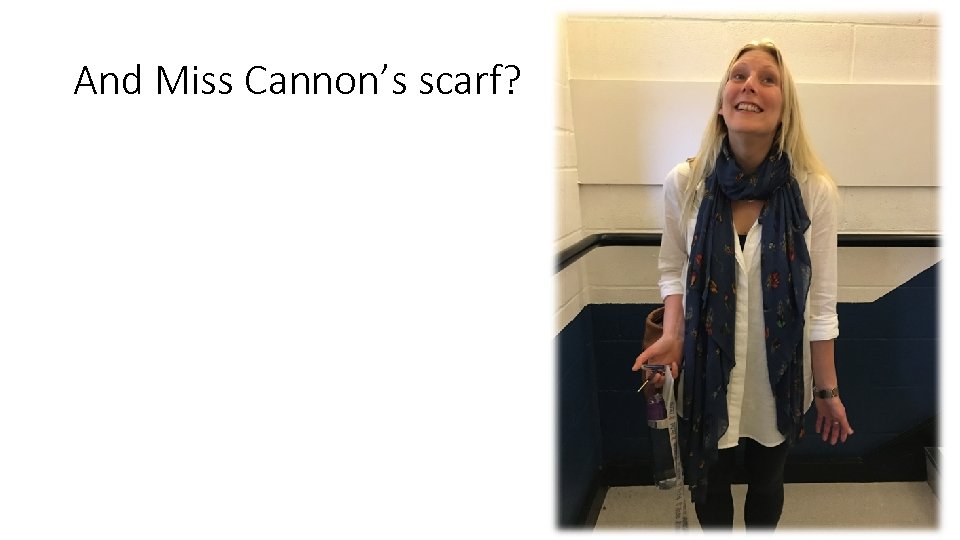 And Miss Cannon’s scarf? 