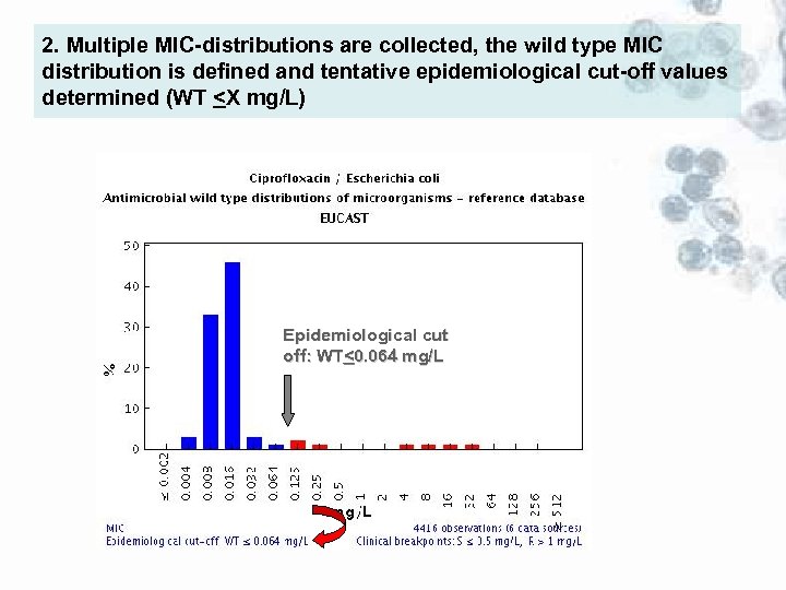 2. Multiple MIC-distributions are collected, the wild type MIC distribution is defined and tentative