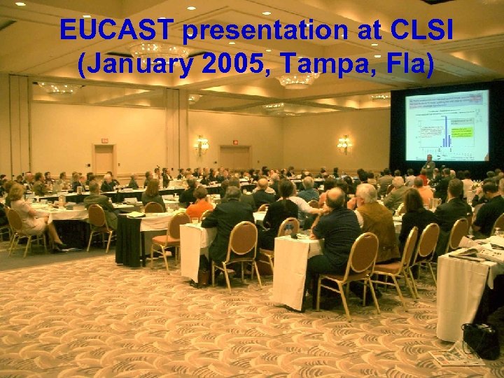 EUCAST presentation at CLSI (January 2005, Tampa, Fla) 