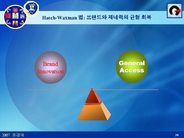 Hatch-Waxman 법: 브랜드와 제네릭의 균형 회복 Brand Innovation 2007 윤경애 General Access 30 