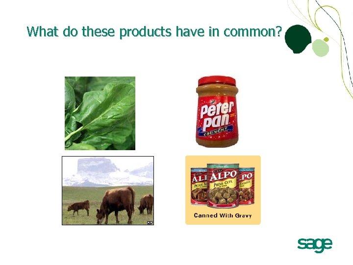 What do these products have in common? 