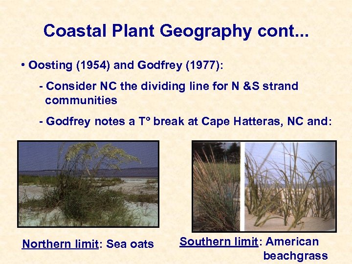 Coastal Plant Geography cont. . . • Oosting (1954) and Godfrey (1977): - Consider