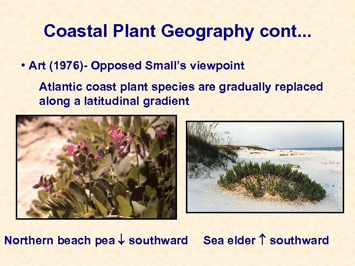 Coastal Plant Geography cont. . . • Art (1976)- Opposed Small’s viewpoint Atlantic coast