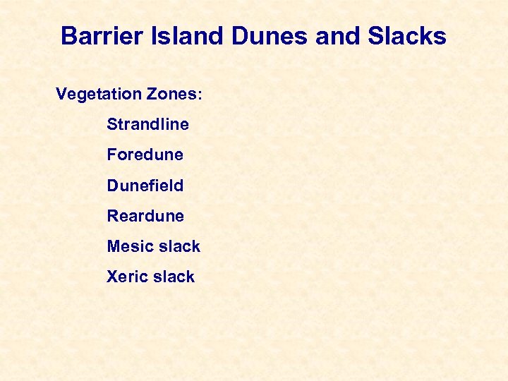 Barrier Island Dunes and Slacks Vegetation Zones: Strandline Foredune Dunefield Reardune Mesic slack Xeric