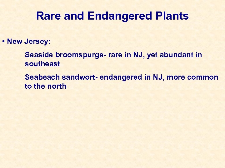 Rare and Endangered Plants • New Jersey: Seaside broomspurge- rare in NJ, yet abundant