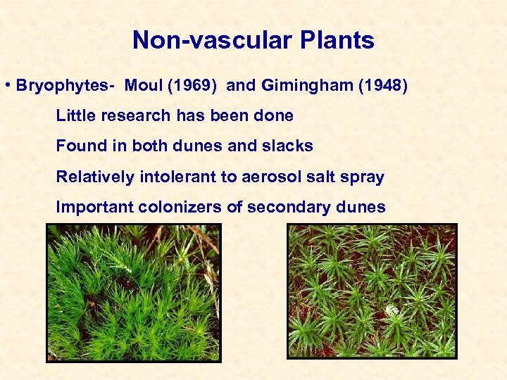 Non-vascular Plants • Bryophytes- Moul (1969) and Gimingham (1948) Little research has been done