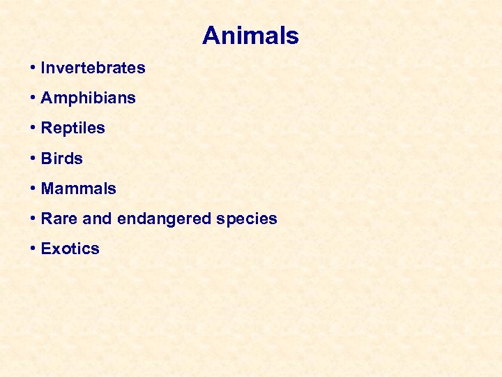 Animals • Invertebrates • Amphibians • Reptiles • Birds • Mammals • Rare and