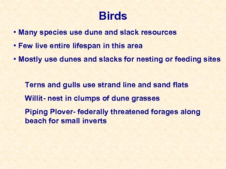 Birds • Many species use dune and slack resources • Few live entire lifespan