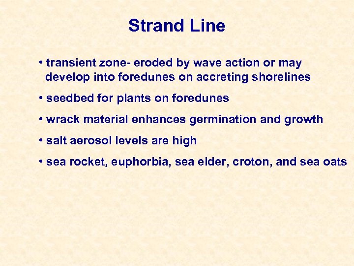 Strand Line • transient zone- eroded by wave action or may develop into foredunes