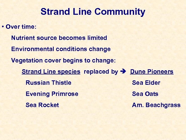 Strand Line Community • Over time: Nutrient source becomes limited Environmental conditions change Vegetation