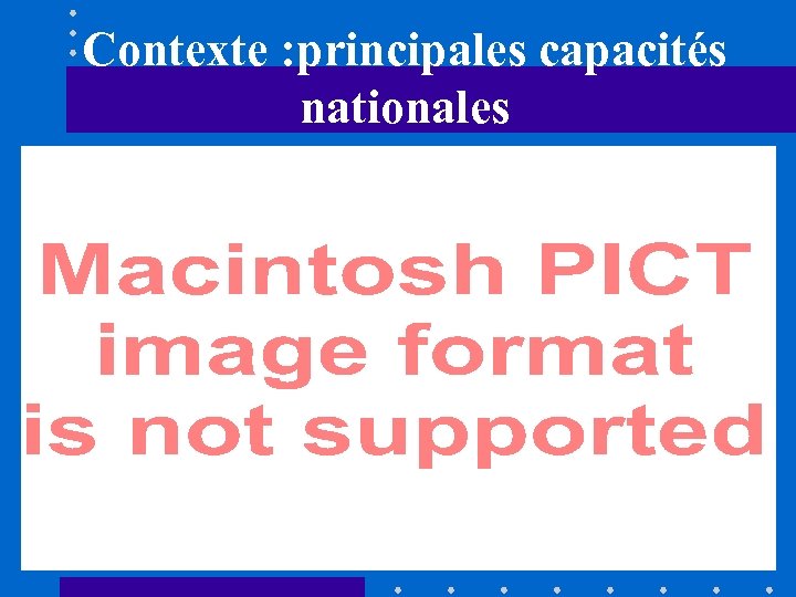 Contexte : principales capacités nationales 