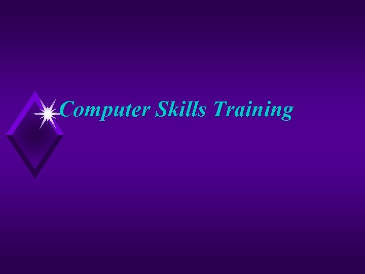 Computer Skills Training 