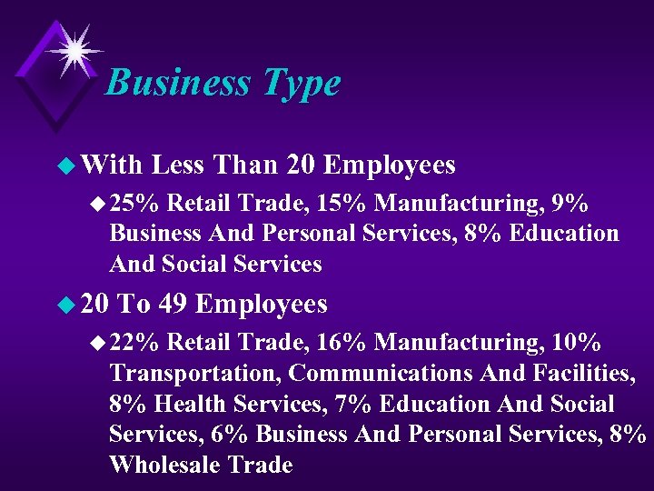 Business Type u With Less Than 20 Employees u 25% Retail Trade, 15% Manufacturing,