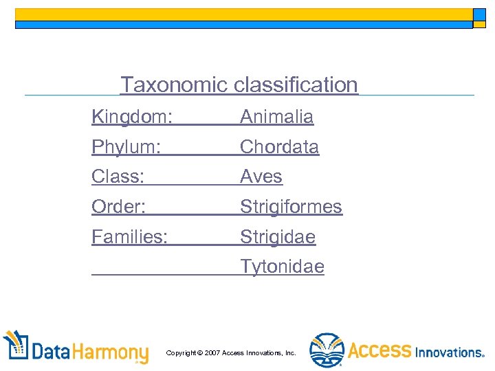 Taxonomic classification Kingdom: Animalia Phylum: Chordata Class: Aves Order: Strigiformes Families: Strigidae Tytonidae Copyright