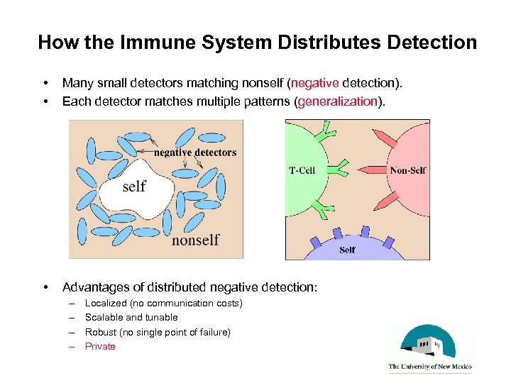 How the Immune System Distributes Detection • • Many small detectors matching nonself (negative