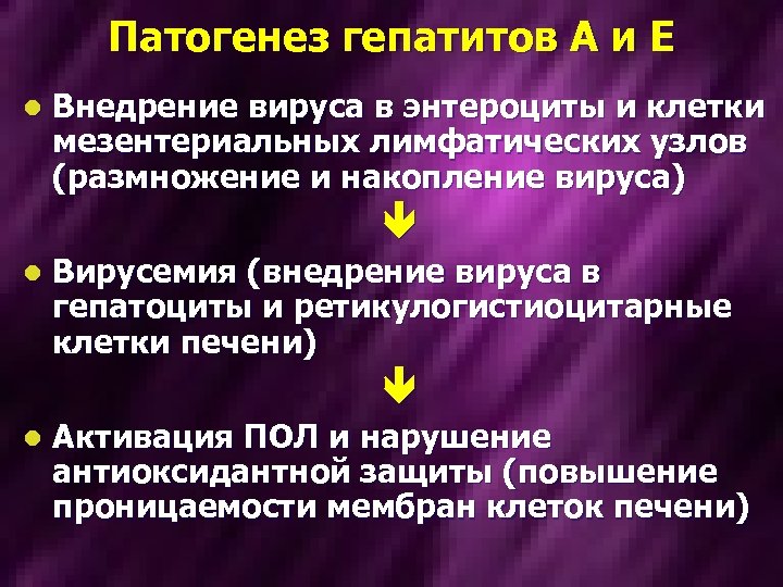 Патогенез гепатитов А и Е l Внедрение вируса в энтероциты и клетки мезентериальных лимфатических