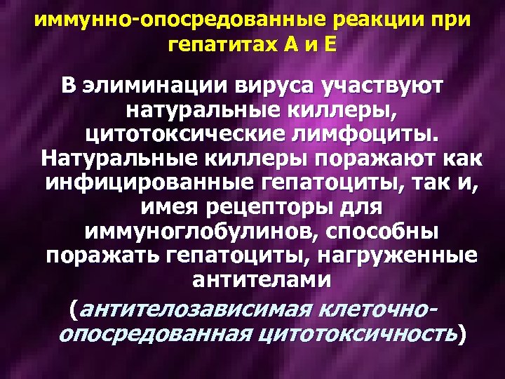 иммунно-опосредованные реакции при гепатитах А и Е В элиминации вируса участвуют натуральные киллеры, цитотоксические