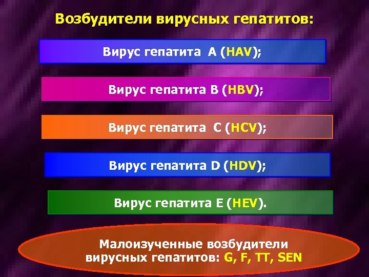 Возбудители вирусных гепатитов: Вирус гепатита A (HAV); Вирус гепатита B (HBV); Вирус гепатита C