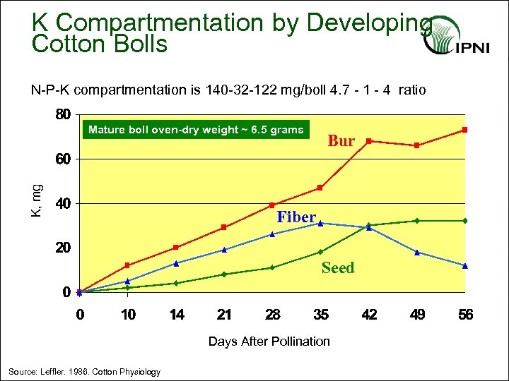 K Compartmentation by Developing Cotton Bolls N-P-K compartmentation is 140 -32 -122 mg/boll 4.