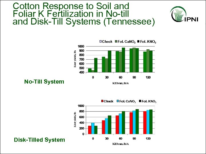 Cotton Response to Soil and Foliar K Fertilization in No-till and Disk-Till Systems (Tennessee)