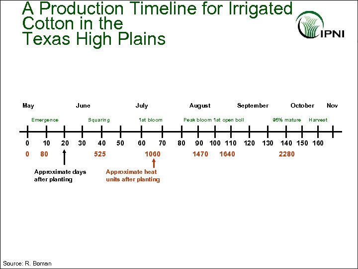 A Production Timeline for Irrigated Cotton in the Texas High Plains May June Emergence