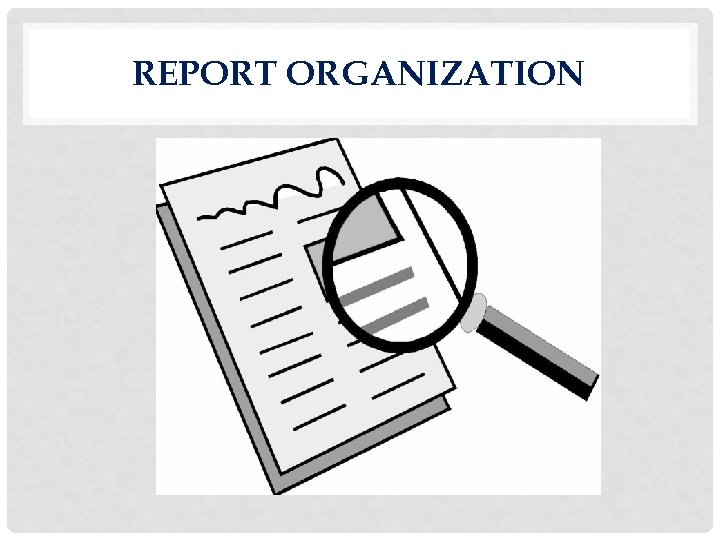 REPORT ORGANIZATION 