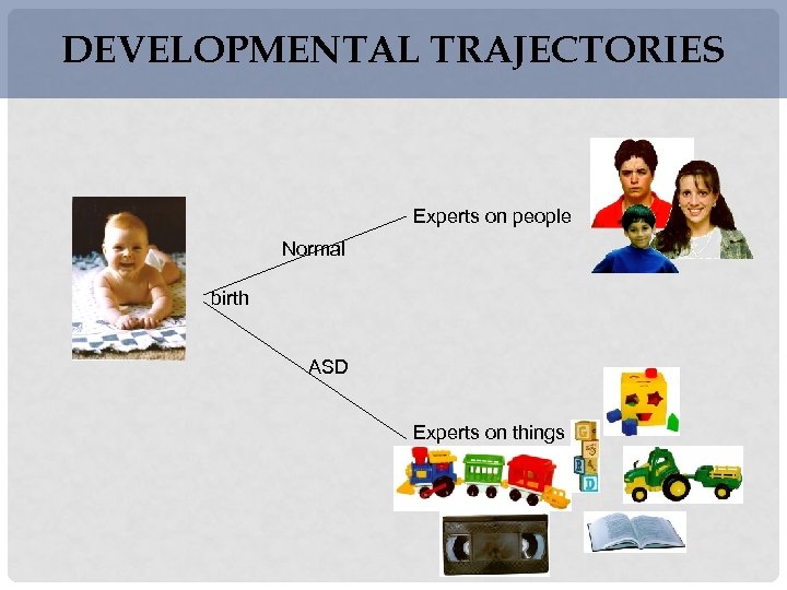 DEVELOPMENTAL TRAJECTORIES Experts on people Normal birth ASD Experts on things 