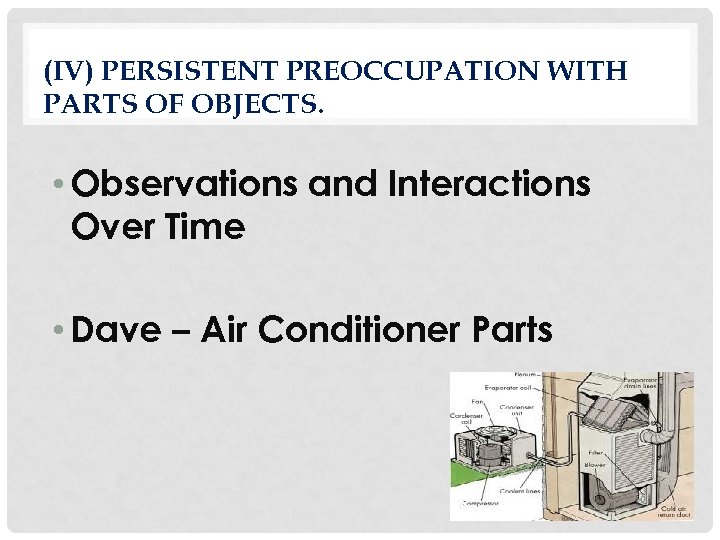 (IV) PERSISTENT PREOCCUPATION WITH PARTS OF OBJECTS. • Observations and Interactions Over Time •