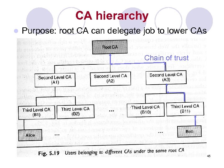 CA hierarchy l Purpose: root CA can delegate job to lower CAs Chain of