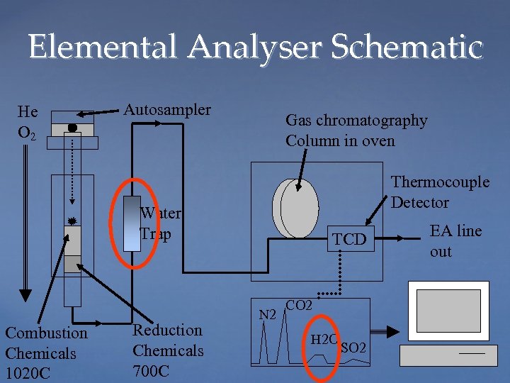 Elemental Analyser Schematic He O 2 Autosampler Gas chromatography Column in oven Thermocouple Detector