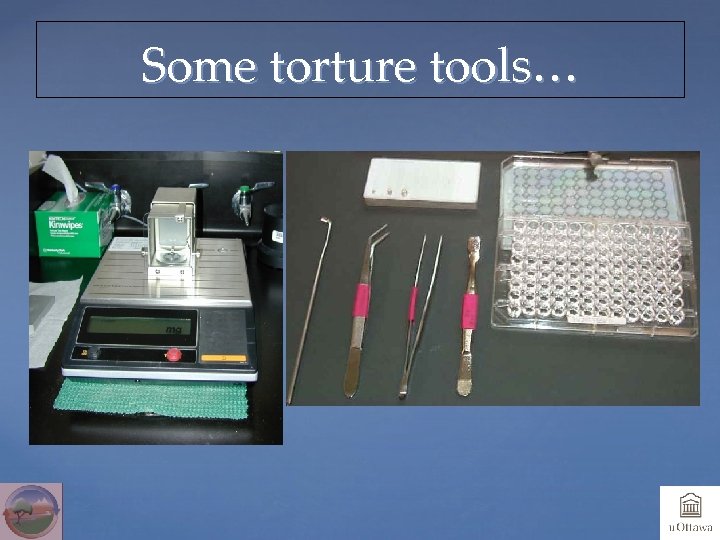 Some torture tools… 